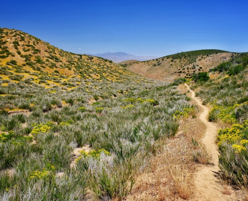 2023 0511 1917040013 01