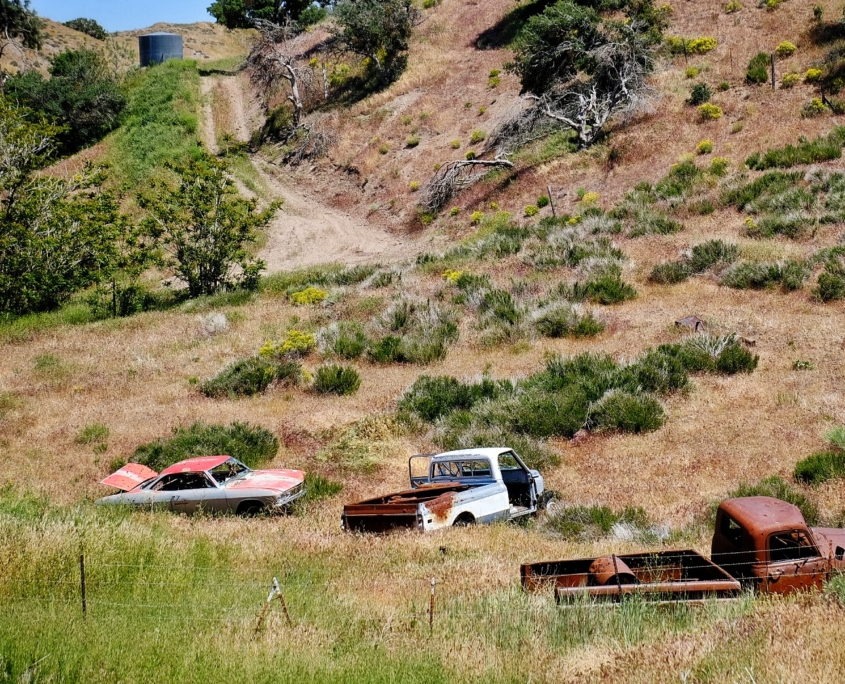 2023 0511 1917040014 01