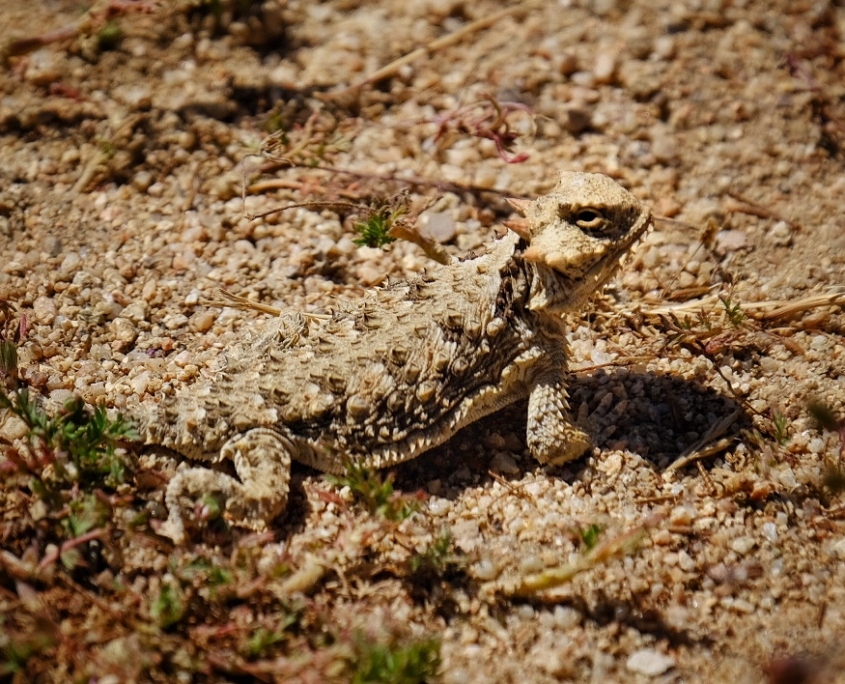 2023 0515 18003300 01