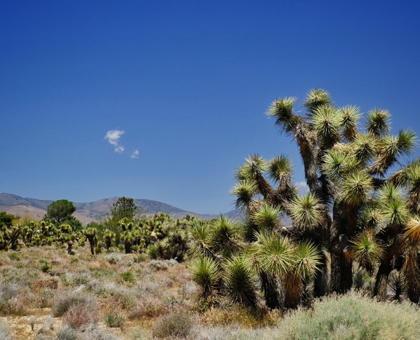 2023 0515 18011300 01