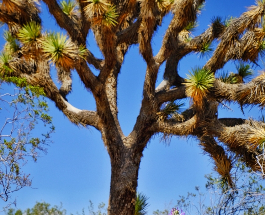 2023 0515 18051500 01