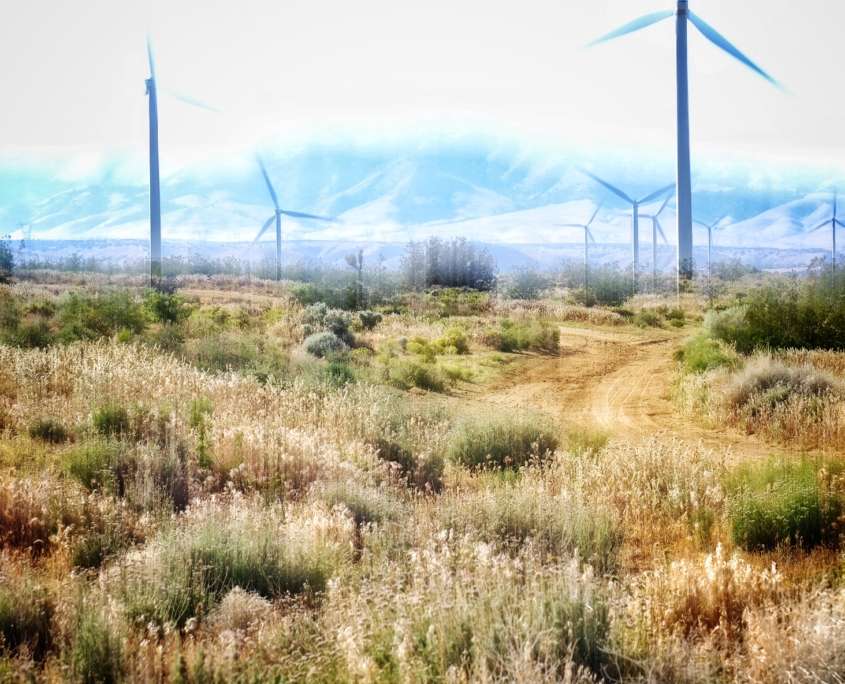 2023 0515 18093300 01