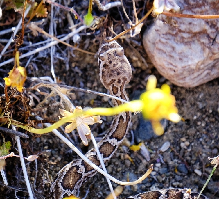 2023 0515 18145600 01