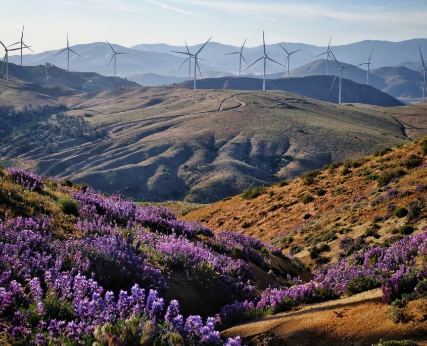 2023 0518 2055080010 01