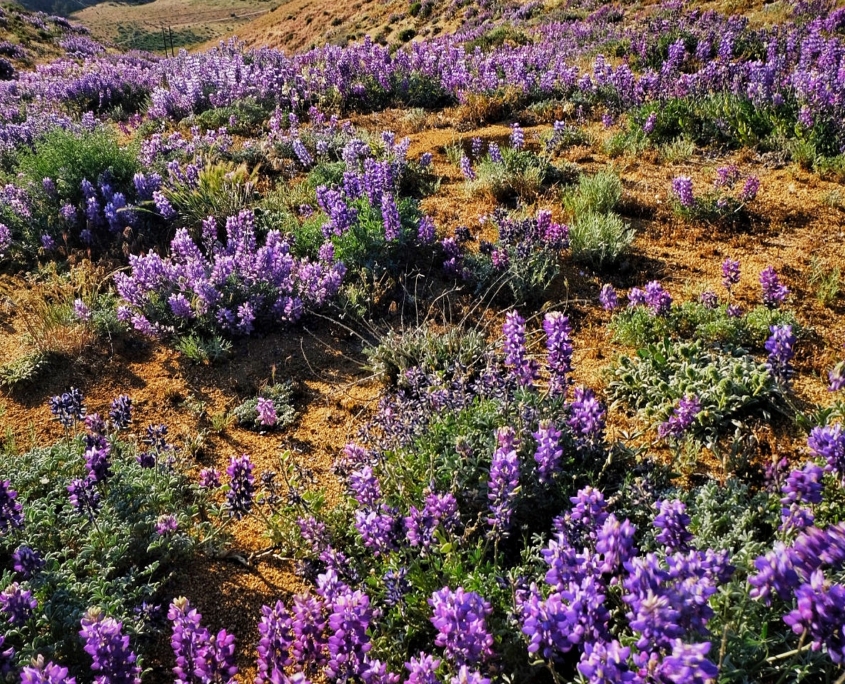 2023 0518 2055080012 01