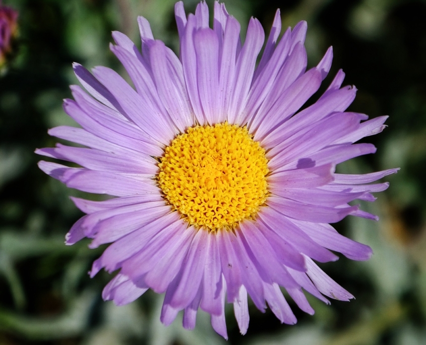 2023 0518 2055080034 01