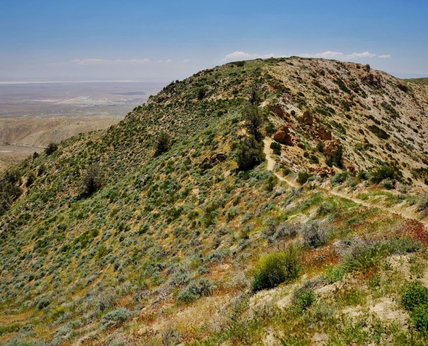 2023 0518 2055080037 01