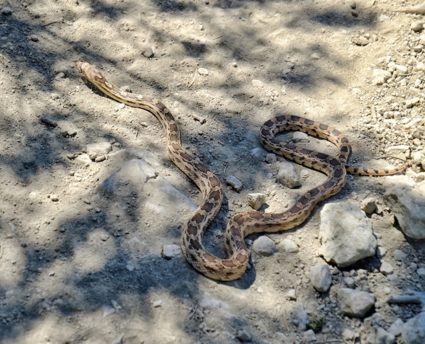 2023 0518 2055080040 01