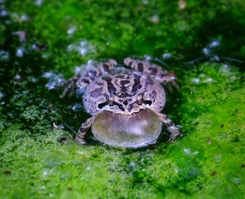 2023 0518 2100050010 01