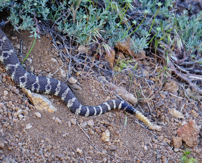 2023 0518 210005004 01