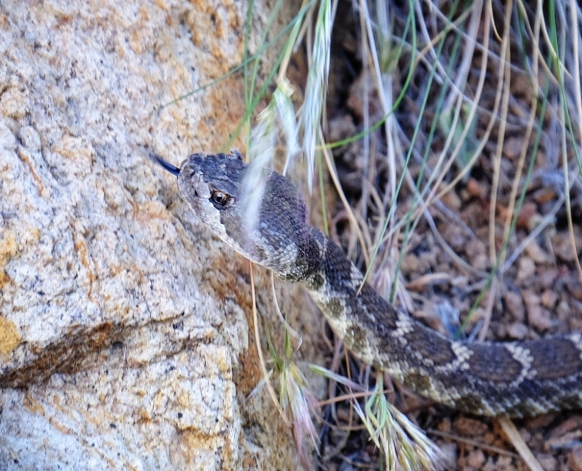 2023 0518 210005005 01