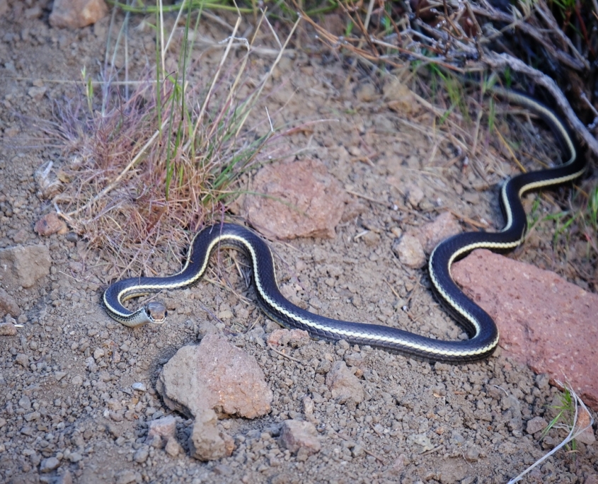 2023 0518 210005009 01