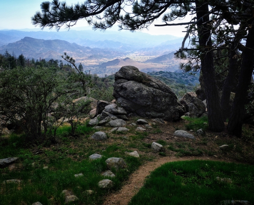 2023 0519 1917100011 01