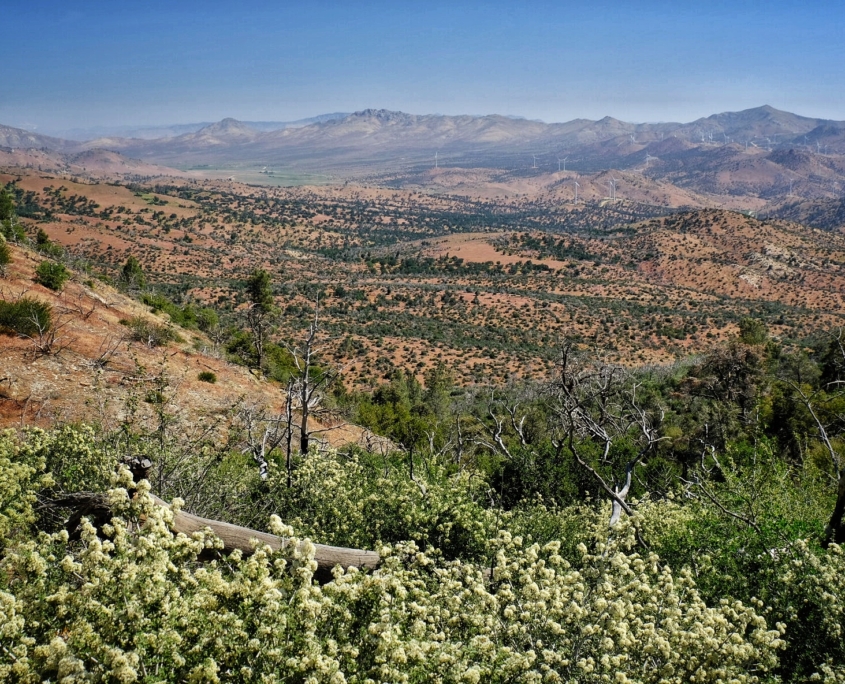 2023 0519 191710003 01