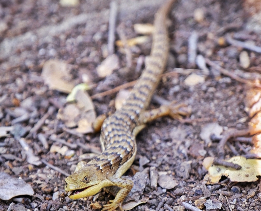 2023 0519 191710007 01