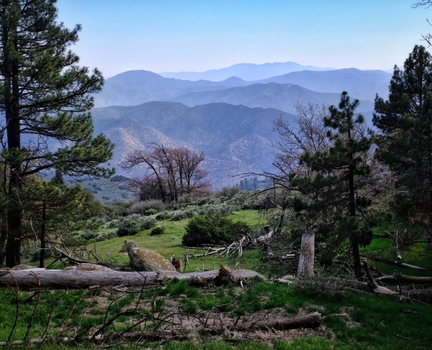 2023 0519 191710009 01