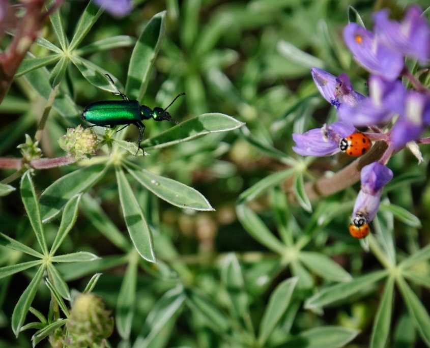 2023 0520 204003005 01