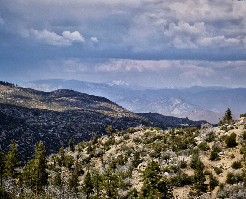 2023 0520 204003007 01