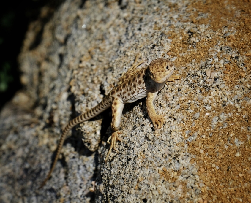 2023 0521 1949210012 01