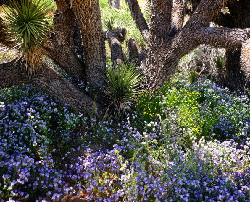 2023 0521 1949210019 01