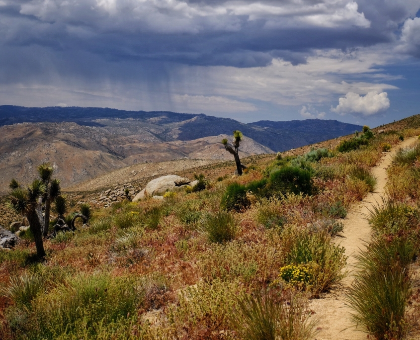 2023 0521 1949210020 01