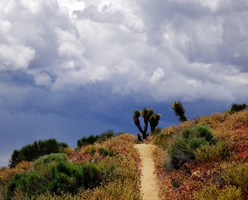 2023 0521 1949210021 01