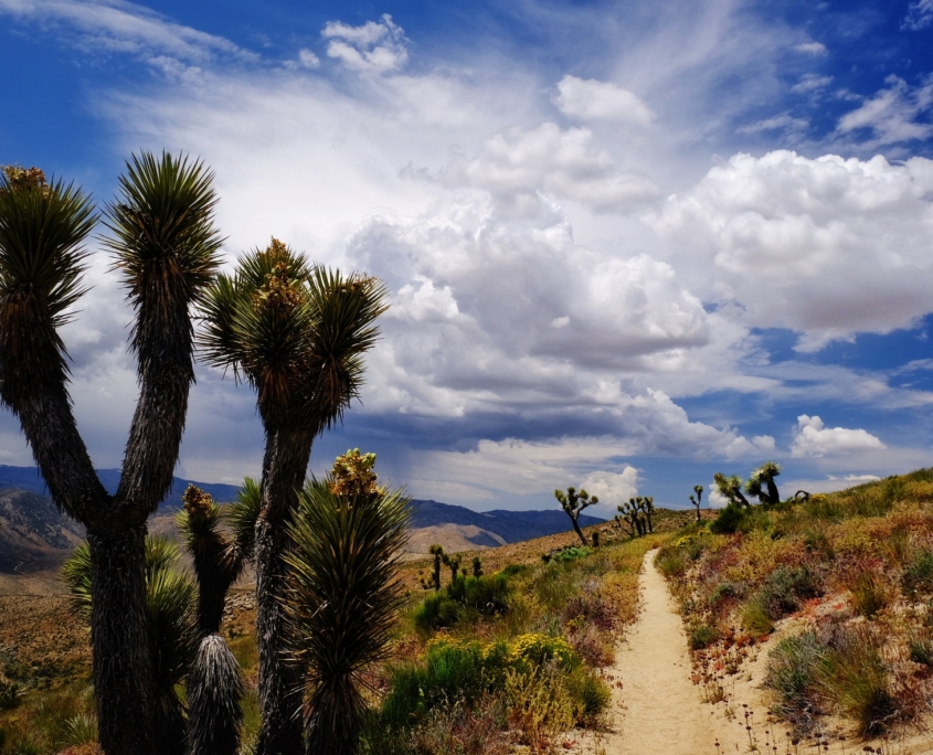 2023 0521 1949210022 01