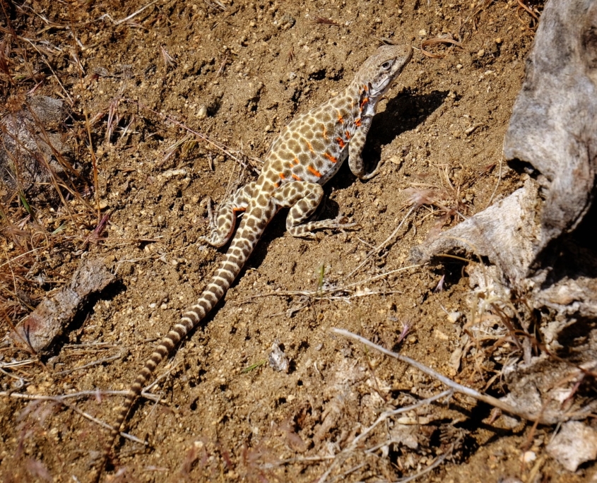 2023 0521 194921007 01