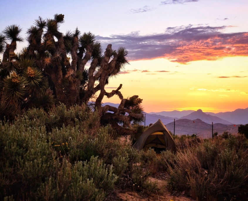 2023 0521 200404006 01