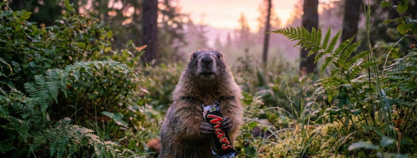 joe lovell prompt to picture creating images with ai prompt to picture creating images with ai 1