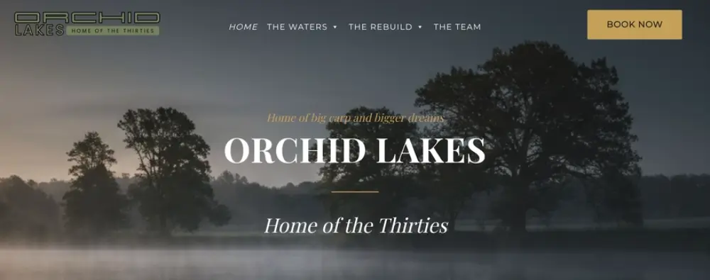 orchid lakes joe lovell wordpress development