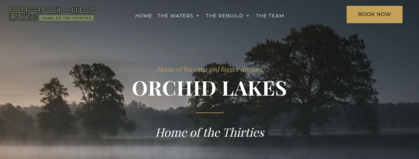orchid lakes joe lovell wordpress development